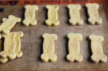 dog-biscuits-4-of-5-550x366